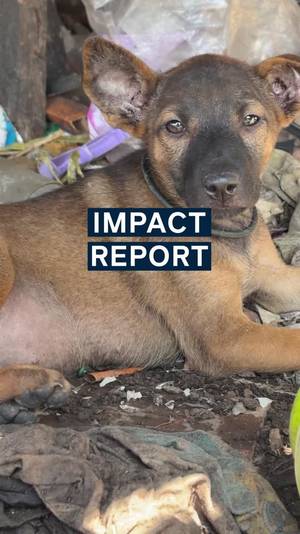 Wir haben inzwischen insgesamt 2. 555. 689 Kilogramm Abfall und Plastik aus Flüssen und Wasserstraßen auf der ganzen Welt entfernt