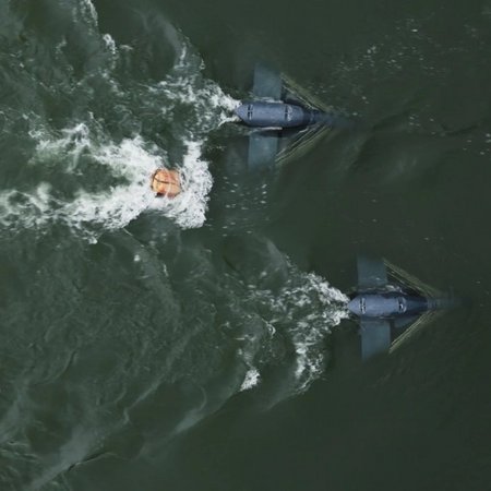 Ein paar Energyfische von Energyminer im Rhein in St. Goar Ein paar Energyfische von Energyminer im Rhein in St. Goar
