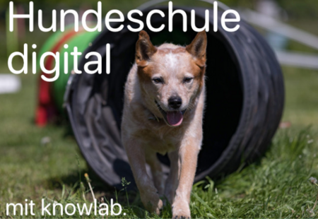 Unsere Vierbeiner gehen digital!