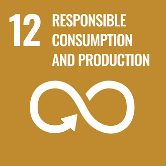 12 - Verantwortungsvolle Konsum- und Produktionsmuster