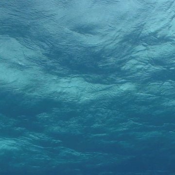 Unterwassersicht Meer Unterwassersicht Meer